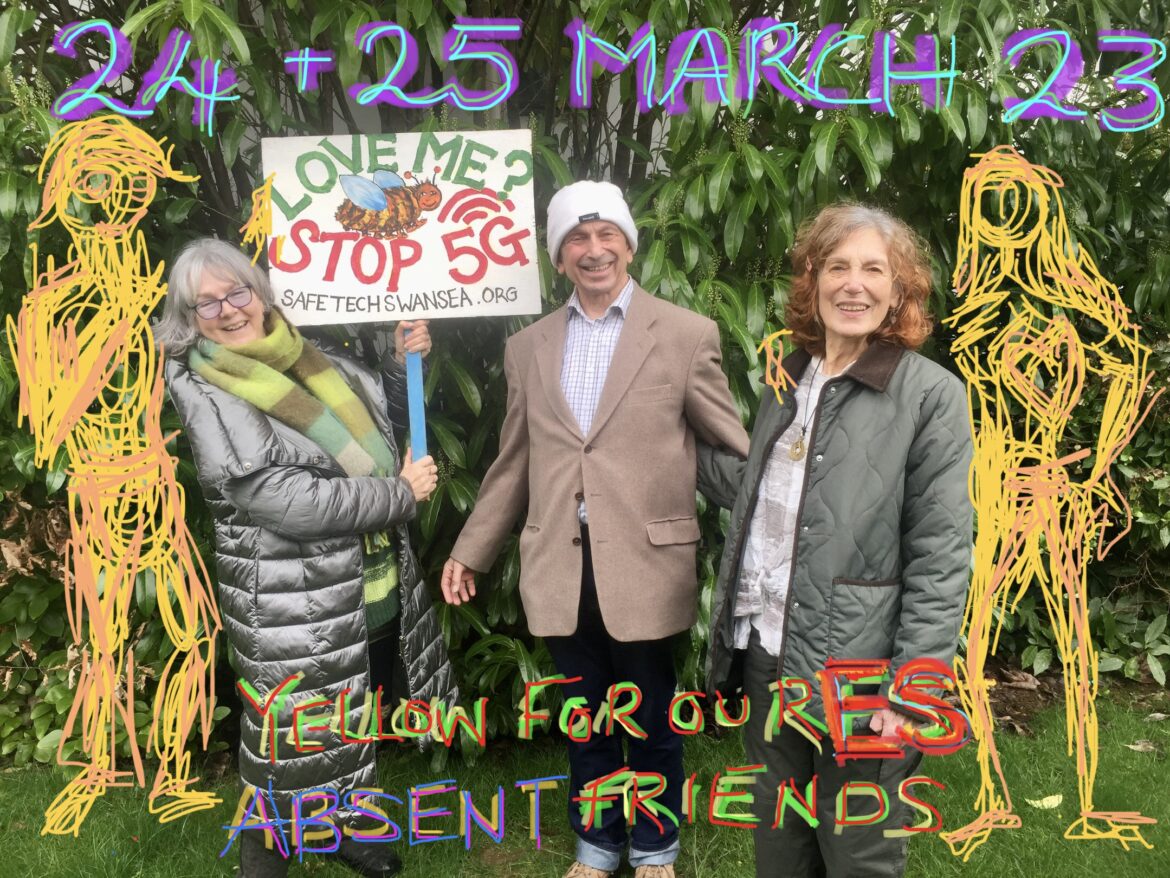 Yours truly in a photograph amongst thousands of others posted for the annual Global 5G Protest for Freedom